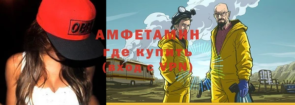 прущие грибы Горнозаводск