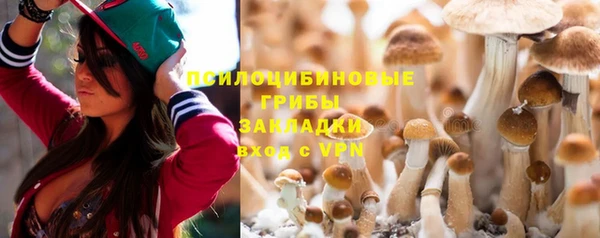 mdpv Горно-Алтайск