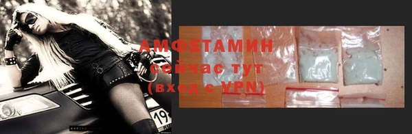 прущие грибы Горнозаводск