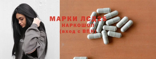 прущие грибы Горнозаводск