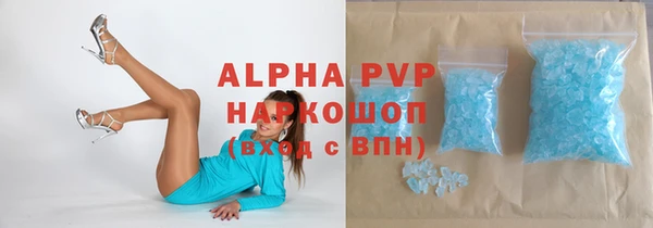прущие грибы Горнозаводск
