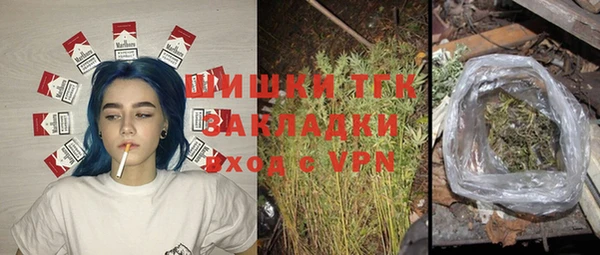 прущие грибы Горнозаводск