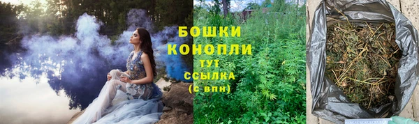 прущие грибы Горнозаводск