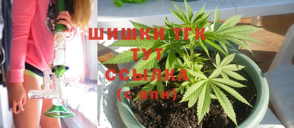 прущие грибы Горнозаводск