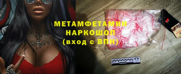 прущие грибы Горнозаводск