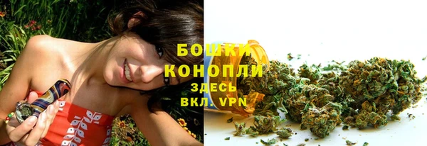 mdpv Горно-Алтайск